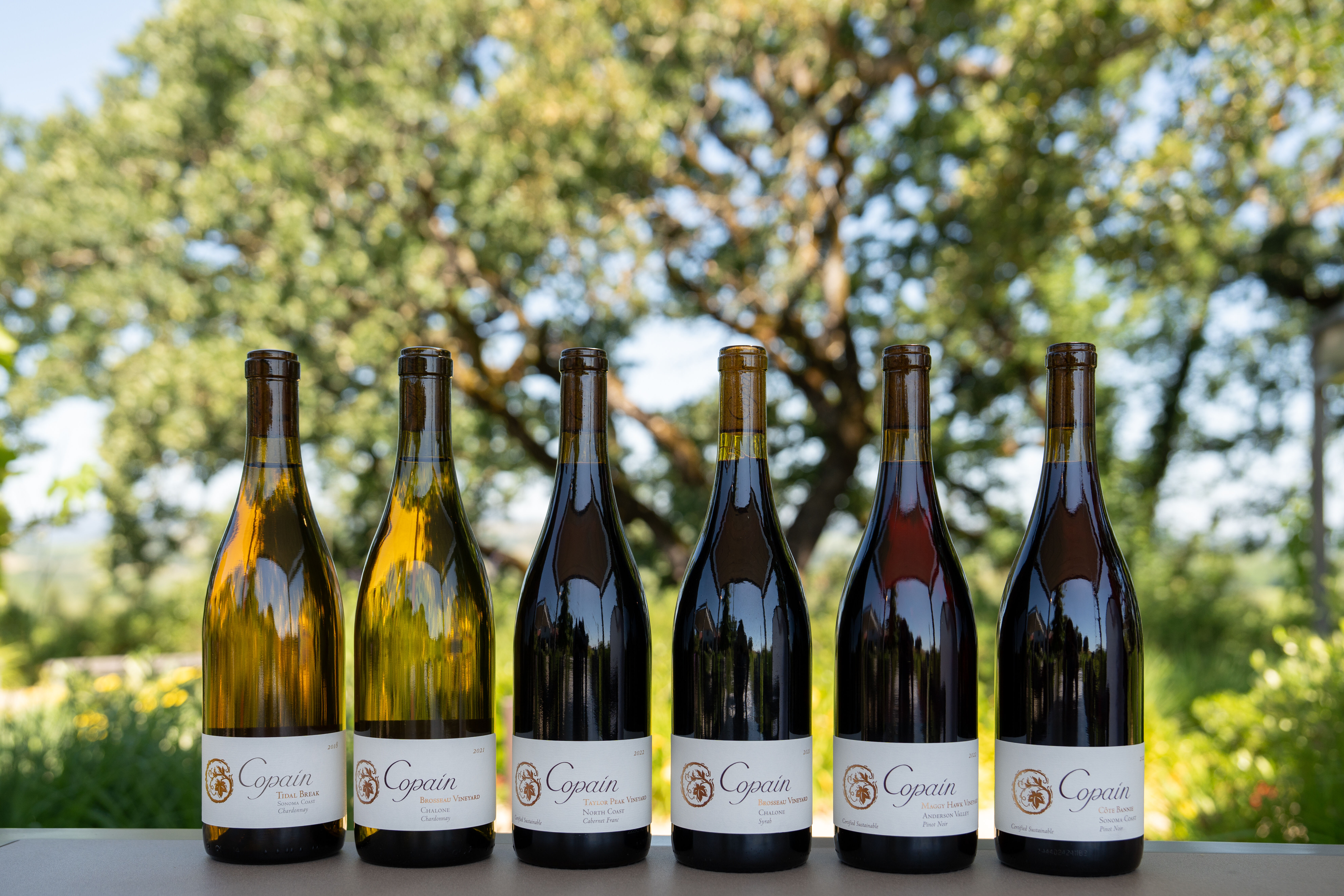 Five bottles of copain wine